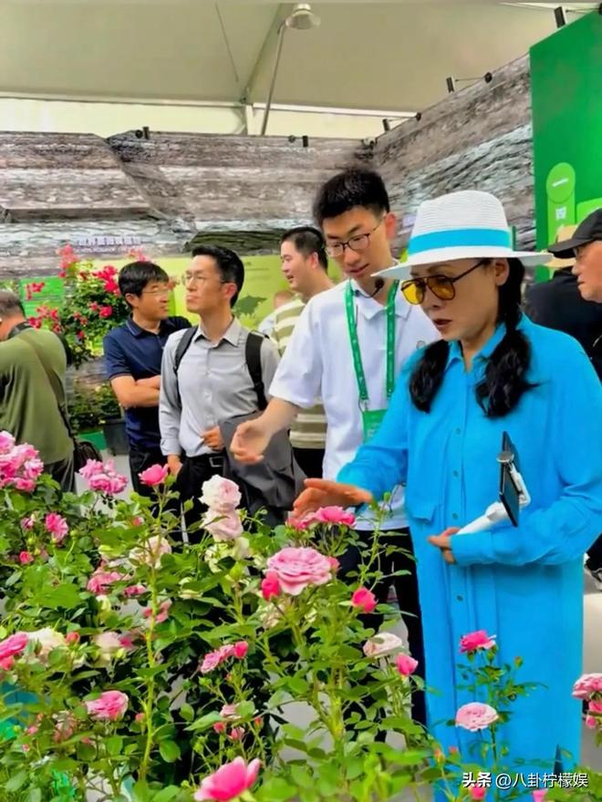 际月季大会获一群人招待排场大身材瘦了很多爱游戏app最新登录入口田震现身第九届国(图9)